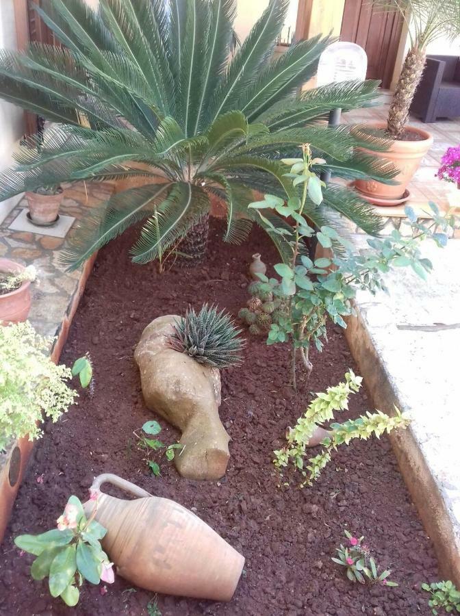 Casa Angelo Villa San Vito Lo Capo Eksteriør billede